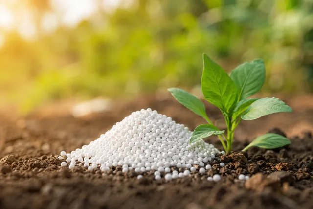 High-Potassium Fertilizer: Benefits, Best Application Time, and Uses for Improving Fruit Quality