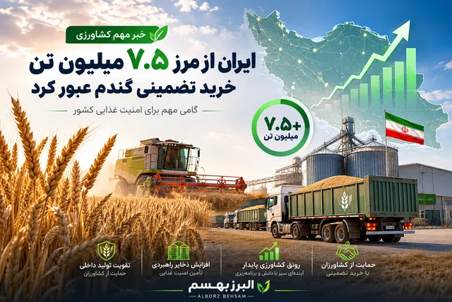 ایران از مرز ۷.۵ میلیون تن خرید تضمینی گندم عبور کرد؛ گامی مهم برای امنیت غذایی کشور