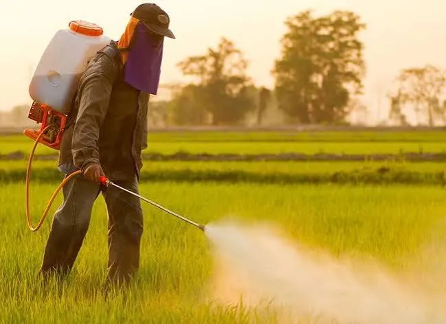 تأمین و ذخیره سموم کشاورزی مورد نیاز کشور تا پایان سال ۱۴۰۵
