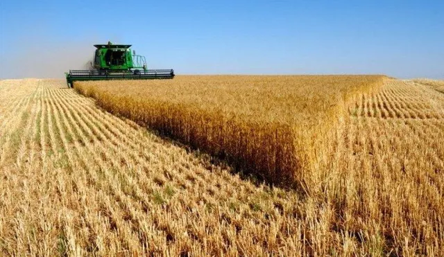 تعیین قیمت خرید تضمینی گندم به جلسه بعدی موکول شد